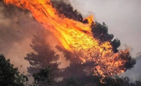 Σε πλήρη παράλυση, η Ελλάδα καίγεται για ακόμη μια χρονιά (vid)