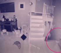 “Φάντασμα” με το “κατοικίδιό” του καταγράφονται σε κάμερα ασφαλείας (vid)