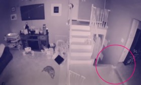 “Φάντασμα” με το “κατοικίδιό” του καταγράφονται σε κάμερα ασφαλείας (vid) “Φάντασμα” με το “κατοικίδιό” του καταγράφονται σε κάμερα ασφαλείας (vid)