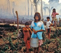 Η αποψίλωση των δασών στη Βραζιλία σχεδόν τετραπλασιάστηκε (vid) Η αποψίλωση των δασών στη Βραζιλία σχεδόν τετραπλασιάστηκε (vid)