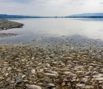Η λίμνη Κορώνεια μάχεται για την επιβίωσή της (vid)