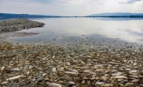 Η λίμνη Κορώνεια μάχεται για την επιβίωσή της (vid) Η λίμνη Κορώνεια μάχεται για την επιβίωσή της (vid)