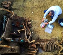Ανακαλύφθηκε απολιθωμένο ρωμαϊκό άρμα (βίντεο)