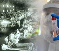 Ο ρόλος των επιδημιών στην ανθρώπινη ιστορία Ο ρόλος των επιδημιών στην ανθρώπινη ιστορία