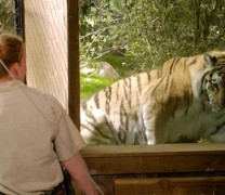 Μπορούν τα ζώα να μεταδώσουν τον κοροναϊό; Μπορούν τα ζώα να μεταδώσουν τον κοροναϊό;