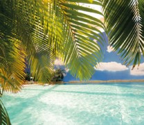 Οι επιχειρήσεις που ανοίγουν από τη Δευτέρα 1η Ιουνίου Οι επιχειρήσεις που ανοίγουν από τη Δευτέρα 1η Ιουνίου