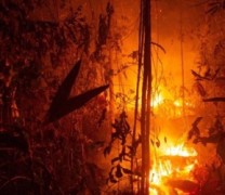Αμαζόνιος: Τα πνευμόνια της Γης καίγονται για άλλη μια φορά (vid)