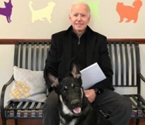 Τζο Μπάιντεν: Έπαθε διάστρεμμα παίζοντας με τον σκύλο του (vid) Τζο Μπάιντεν: Έπαθε διάστρεμμα παίζοντας με τον σκύλο του (vid)