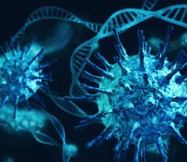 Ανακαλύφθηκε «κρυφό γονίδιο» στον γενετικό κώδικα του SARS-CoV-2