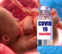 Πάπας: Κανένα πρόβλημα με τα εμβόλια που έχουν φτιαχτεί από νεκρά έμβρυα Πάπας: Κανένα πρόβλημα με τα εμβόλια που έχουν φτιαχτεί από νεκρά έμβρυα