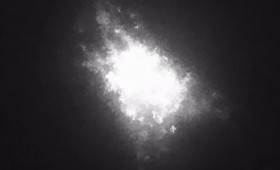 Τα ζώα έχουν «κβαντική αίσθηση» των μαγνητικών πεδίων της Γης (vid) Τα ζώα έχουν «κβαντική αίσθηση» των μαγνητικών πεδίων της Γης (vid)