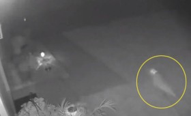 Τα βράδια κυκλοφορούν πολύ περίεργα όντα (vid) Τα βράδια κυκλοφορούν πολύ περίεργα όντα (vid)