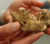 Ο άνθρωπος-μυστήριο που έζησε πριν από 120.000 χρόνια στην Παλαιστίνη