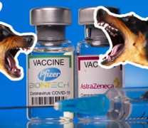 Pfizer vs AstraZeneca: Τα σκυλιά τρώγονται μεταξύ τους για τα λεφτά