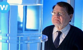 Λυκ Μοντανιέ: Οι μη εμβολιασμένοι θα σώσουν την ανθρωπότητα (vid) Λυκ Μοντανιέ: Οι μη εμβολιασμένοι θα σώσουν την ανθρωπότητα (vid)