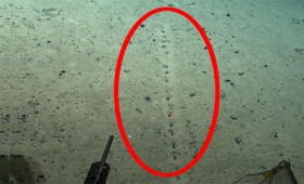 Ανακαλύφθηκαν παράξενες τρύπες στον πυθμένα του Ατλαντικού Ωκεανού (vid)
