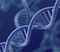 Η απίστευτη περίπτωση μιας γυναίκας που επιβίωσε από 12 καρκινικούς όγκους Η απίστευτη περίπτωση μιας γυναίκας που επιβίωσε από 12 καρκινικούς όγκους