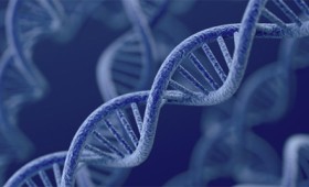 Η απίστευτη περίπτωση μιας γυναίκας που επιβίωσε από 12 καρκινικούς όγκους Η απίστευτη περίπτωση μιας γυναίκας που επιβίωσε από 12 καρκινικούς όγκους
