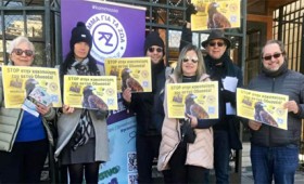 Διαμαρτυρία για την κακοποίηση του αετού Οδυσσέα από την ΑΕΚ!