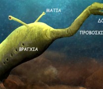 Ανατροπή: Το προϊστορικό «τέρας» Τάλι ήταν τελικά ασπόνδυλο (vid) Ανατροπή: Το προϊστορικό «τέρας» Τάλι ήταν τελικά ασπόνδυλο (vid)