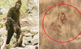 Ζευγάρι απαθανάτισε τον Μεγαλοπόδαρο στα βουνά του Κολοράντο (vid) Ζευγάρι απαθανάτισε τον Μεγαλοπόδαρο στα βουνά του Κολοράντο (vid)