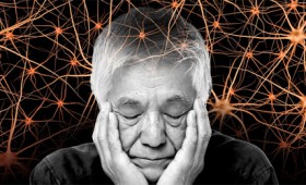 Δυο φθηνά συμπληρώματα διατροφής προστατεύουν από το Αλτσχάιμερ Δυο φθηνά συμπληρώματα διατροφής προστατεύουν από το Αλτσχάιμερ