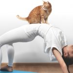 Η επανάσταση στο fitness λέγεται “Cat Yoga” (Νιάου!)