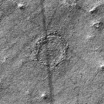 Το παράξενο ερπετοειδές μάτι στην επιφάνεια του Άρη