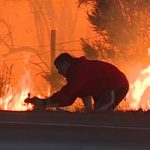 Έσωσε άγριο κουνέλι από τη φωτιά στην Καλιφόρνια (vid)