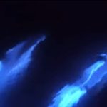 Σπάνιο βίντεο με δελφίνια που λάμπουν στον ωκεανό