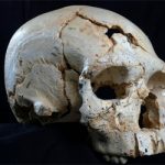 Μια άλυτη υπόθεση δολοφονίας εδώ και 430.000 χρόνια