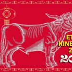 Κινέζικη Αστρολογία 2021 – Προβλέψεις για όλα τα ζώδια