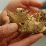 Ο άνθρωπος-μυστήριο που έζησε πριν από 120.000 χρόνια στην Παλαιστίνη