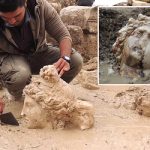 Εντυπωσιάζουν οι αρχαίες κεφαλές της Αφροδίτης και του Διόνυσου στους Αιζανούς