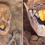 Μούμια με χρυσή γλώσσα βρέθηκε σε σφραγισμένο αιγυπτιακό τάφο (vid)