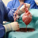 Έγινε για πρώτη φορά μεταμόσχευση καρδιάς από γουρούνι σε άνθρωπο (vid)