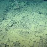 Επιστήμονες ανακάλυψαν τον «κίτρινο δρόμο» προς την Λεμουρία (vid)